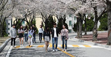 천안캠퍼스의 봄 